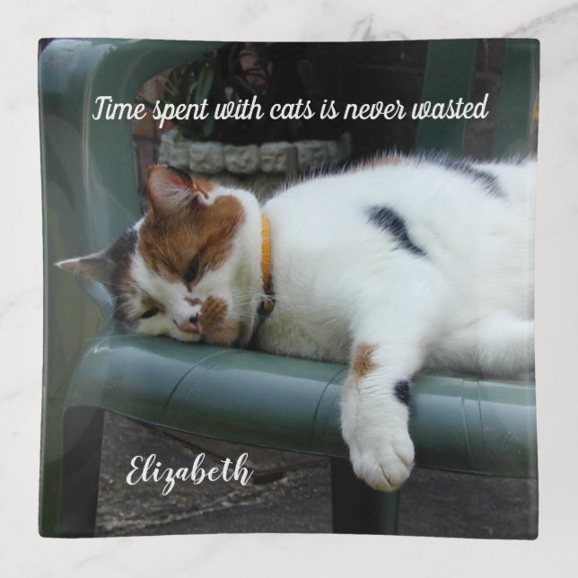 Calico cat relaxing on a garden chair trinket tray (Front)