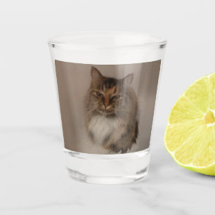 Calico Cat Shot Glass