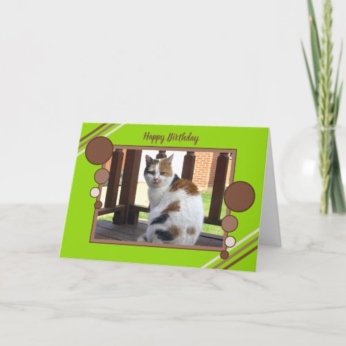 Calico cat sitting green card