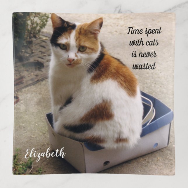 Calico cat sitting in a box trinket tray (Front)