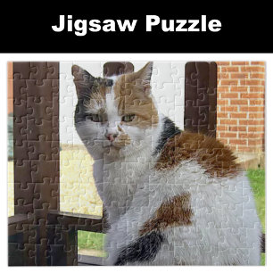 Calico cat sitting on decking jigsaw puzzle