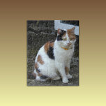Calico cat sitting outside jigsaw puzzle<br><div class="desc">Calico cat jigsaw puzzle</div>