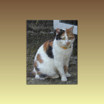 Calico Cat Sitting Outside Jigsaw Puzzle by LynnroseDesigns at Zazzle