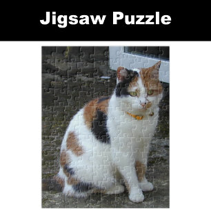 Calico cat sitting outside jigsaw puzzle