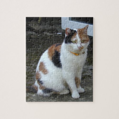 Calico cat sitting outside jigsaw puzzle