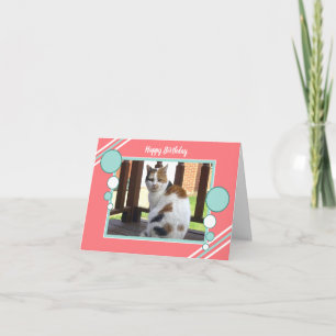 Calico cat sitting photo coral turquoise card