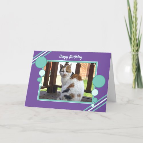 Calico cat sitting photo purple turquoise card