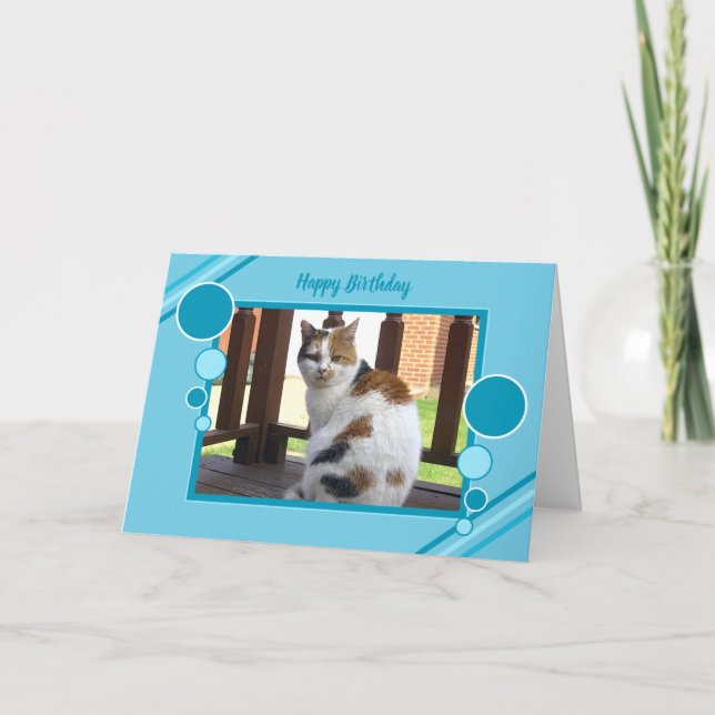 Calico cat sitting photo purple turquoise card (Front)
