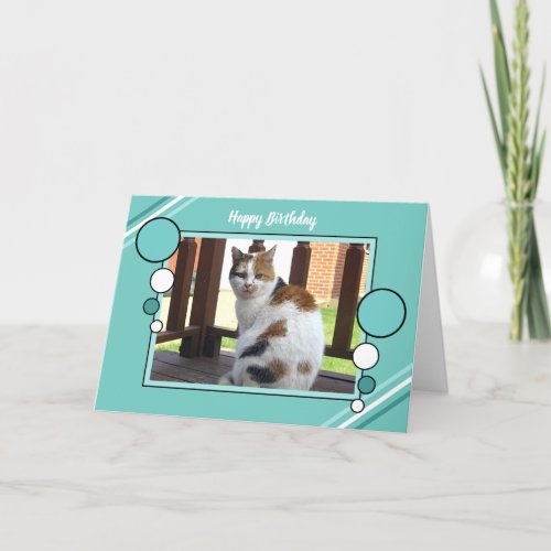 Calico cat sitting photo turquoise green card