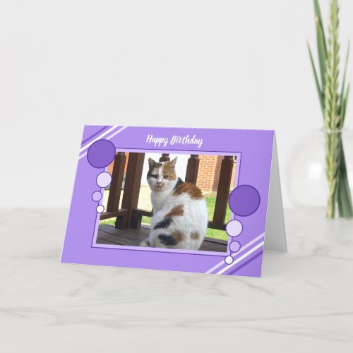 Calico cat sitting purple lilac card