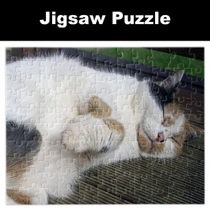Calico cat sleeping outside jigsaw puzzle