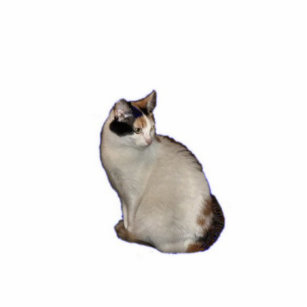 Calico Cat Statuette