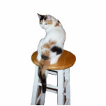 Calico Cat Statuette<br><div class="desc">A calico cat sitting on a kitchen stool is the subject of this photo sculpture</div>