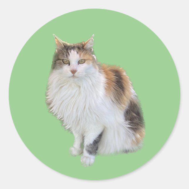 Calico Cat Sticker (Front)