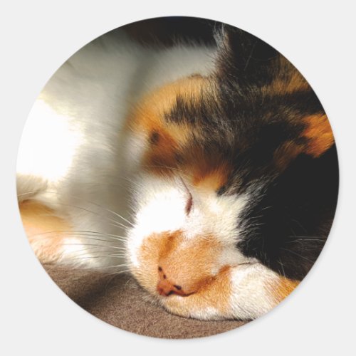 Calico Cat Sunning Classic Round Sticker