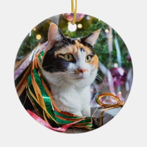 Calico Cat Under a Christmas tree Ornament