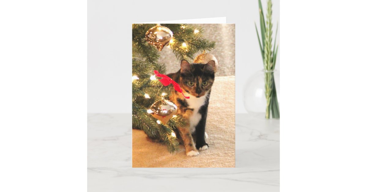 Calico Cat Under The Christmas Tree Blank Inside Holiday Card