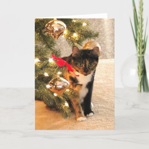 Calico Cat Under the Christmas Tree blank inside Holiday Card