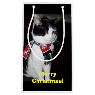 Calico Cat Wearing Scarf Gift Bag