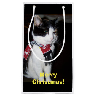 Calico Cat Wearing Scarf Gift Bag