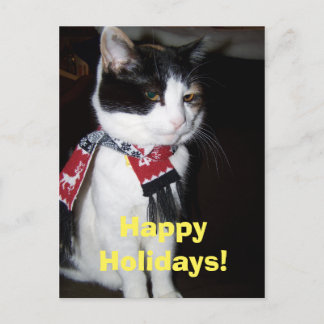 Calico Cat Wearing Scarf Happy Halidays Postcard