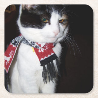 Calico Cat Wearing Scarf Holiday Coaster