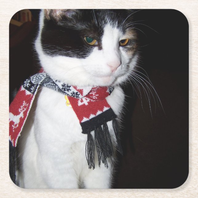 Calico Cat Wearing Scarf Holiday Coaster (Front)
