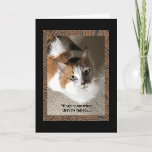 Calico Cat with humor Card
