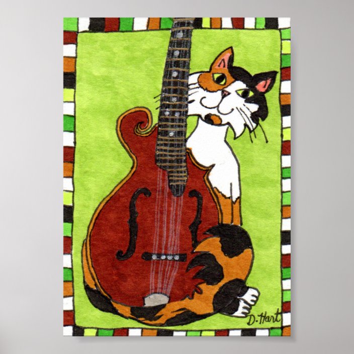 china cat sunflower mandolin and guitar