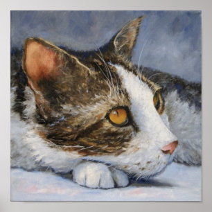 Calico Cat with Yellow Eyes Portrait Poster