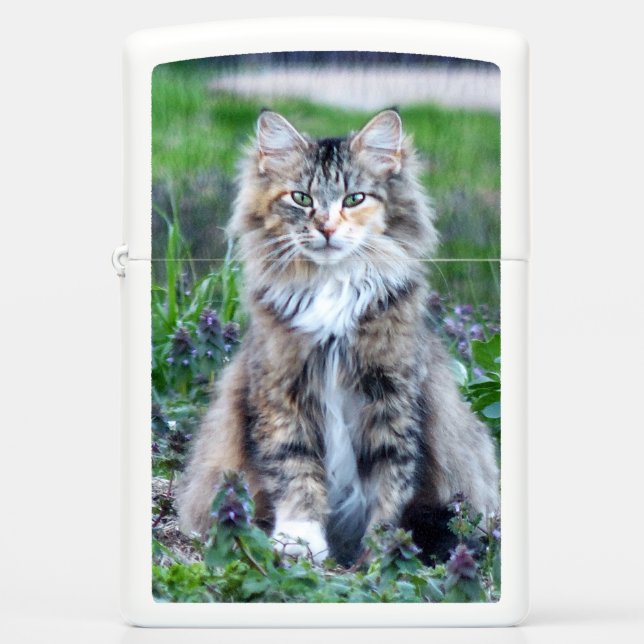 Calico Cat Zippo Lighter (Front)