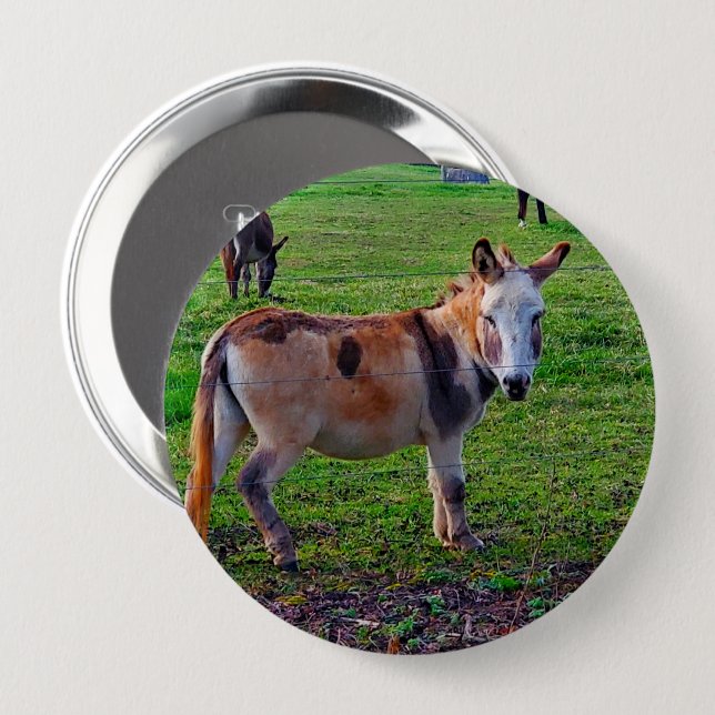 Calico Donkey Button (Front & Back)
