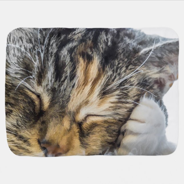 Calico Dreams Baby Blanket (Horizontal)