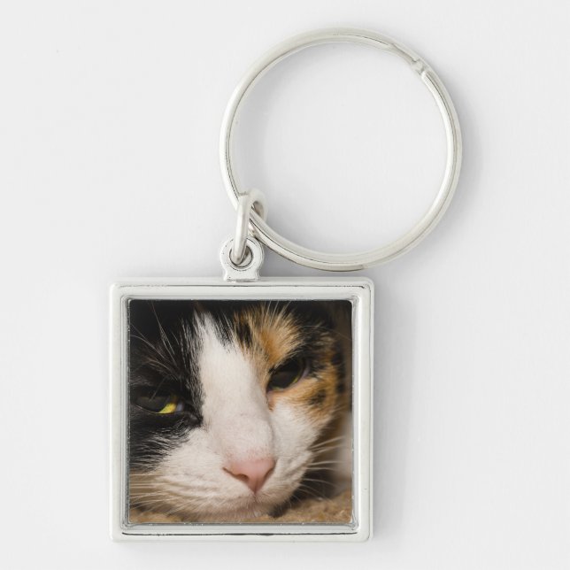 Calico Face Keychain (Front)