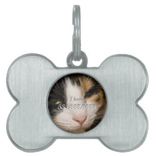 Calico Face Pet Tag