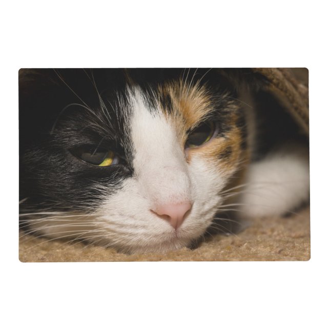 Calico Face Placemat (Front)