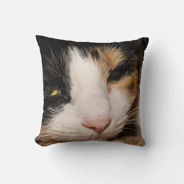 Calico Face Throw Pillow (Front)