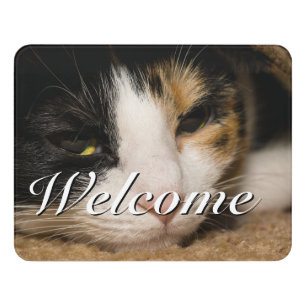 Calico Face Welcome Door Sign