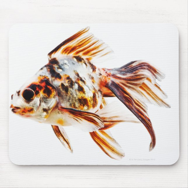 Calico Fantail Comet goldfish Mouse Pad (Front)