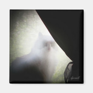 Calico Ghost Cat by djoneill Magnet