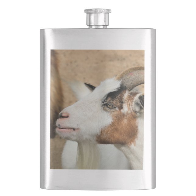 Calico goat flask (Front)