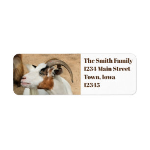 Calico goat label