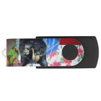 Calico I Flash Drive