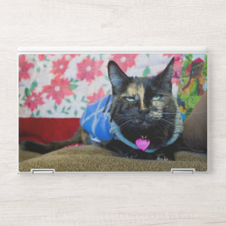 Calico I HP Laptop Skin