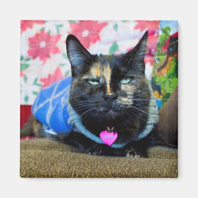 Calico I Magnet (Front)