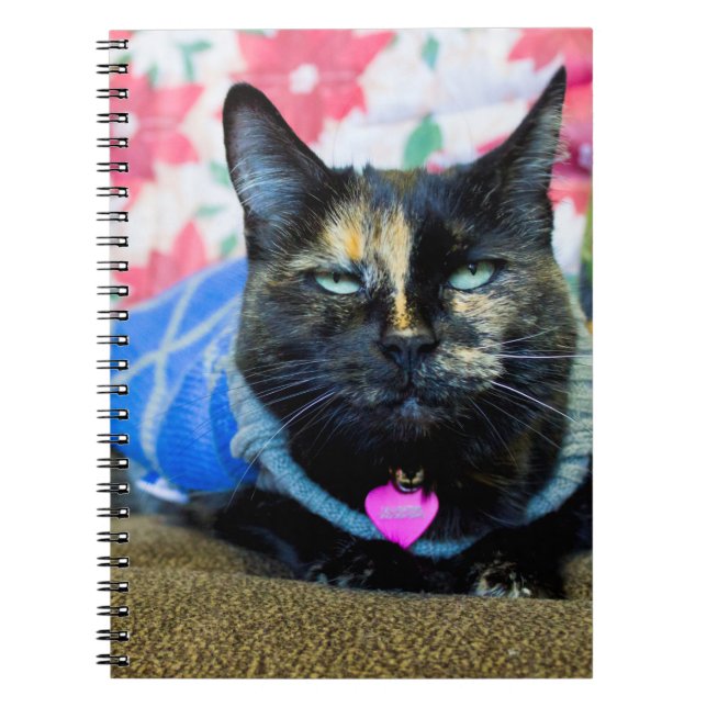 Calico I Notebook (Front)