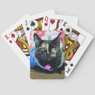 Calico I Poker Cards