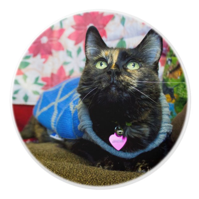 Calico II Ceramic Knob (Front)