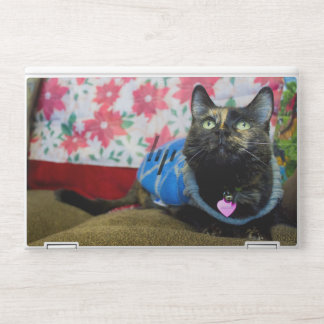 Calico II HP Laptop Skin