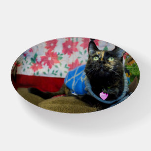 Calico II Paperweight